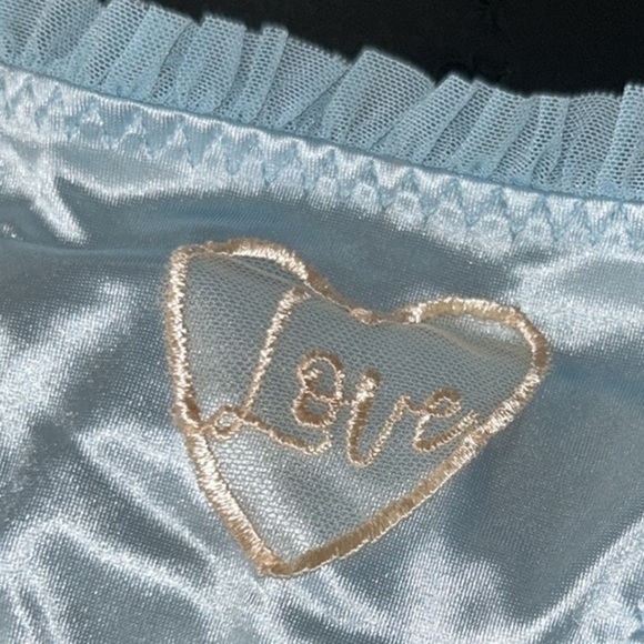 Coquette Silky Satin Mesh Ruffled “LOVE” Stretchy Baby Blue G-String Thong Panty - Picture 13 of 14